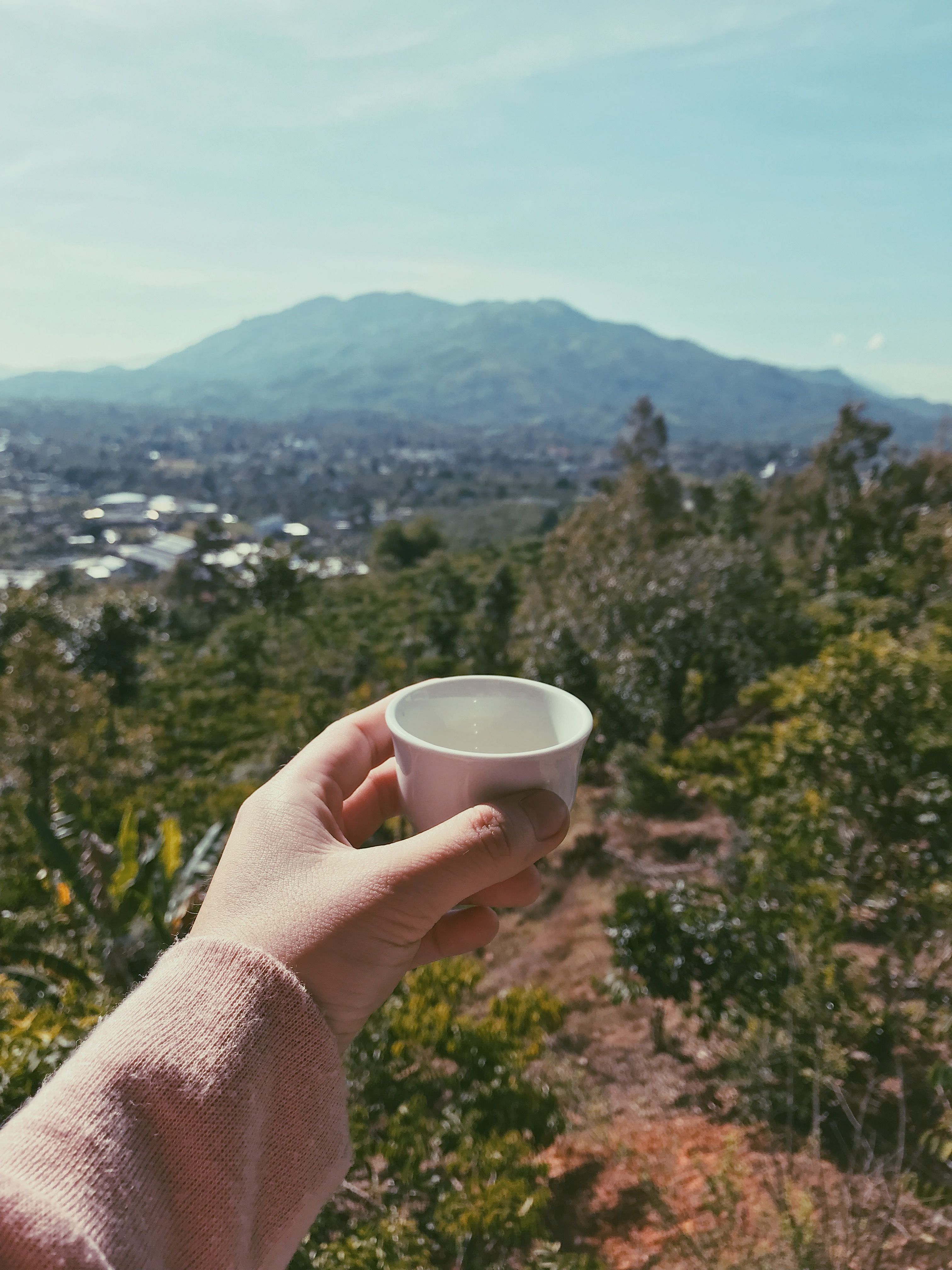 Coffee farm tour in the El Salvador highlands